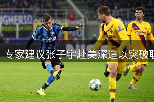 专家建议张子宇赴美深造以突破职业瓶颈